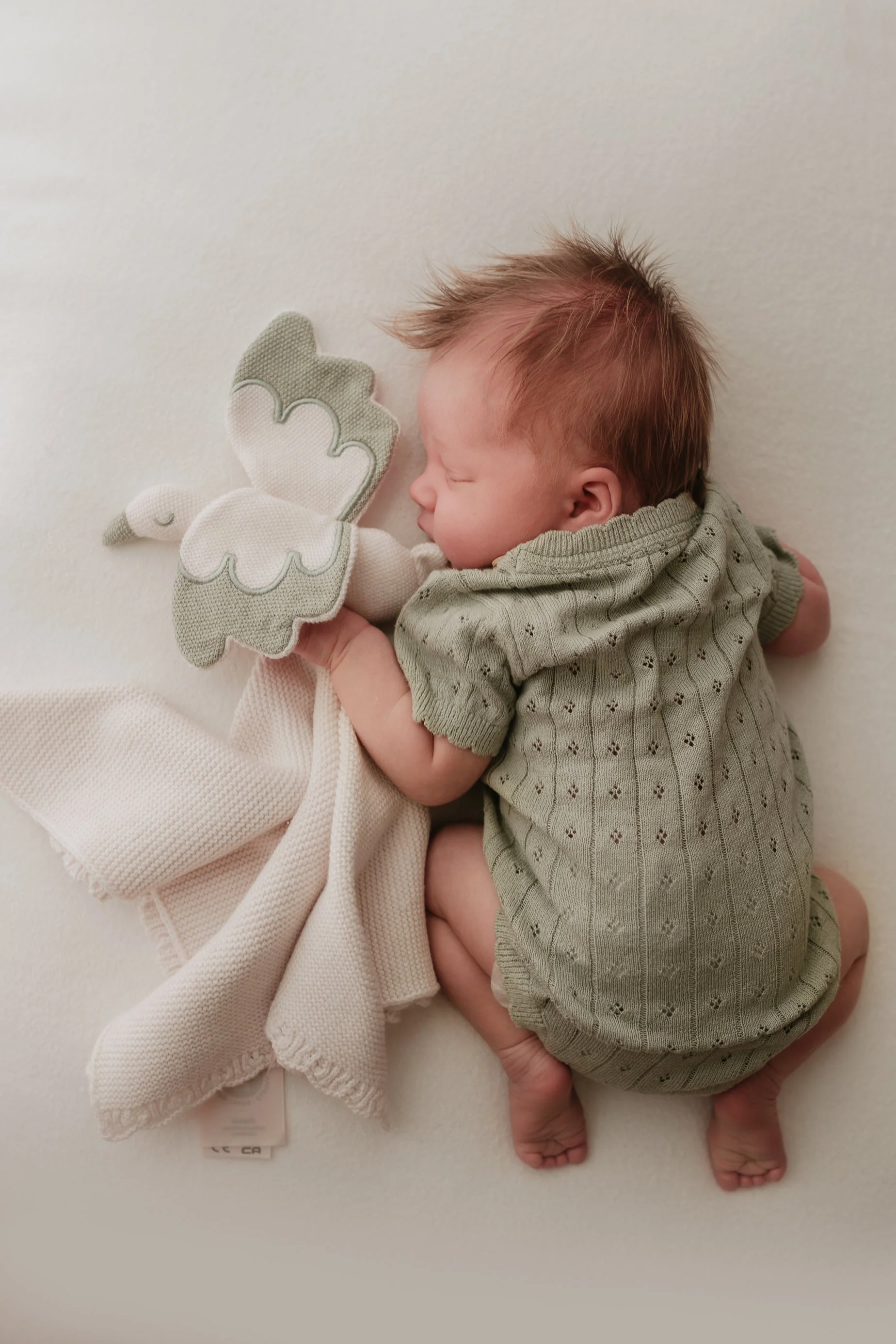 Organic Cotton Baby Stork Comforter - Oat/Sage - Image 3