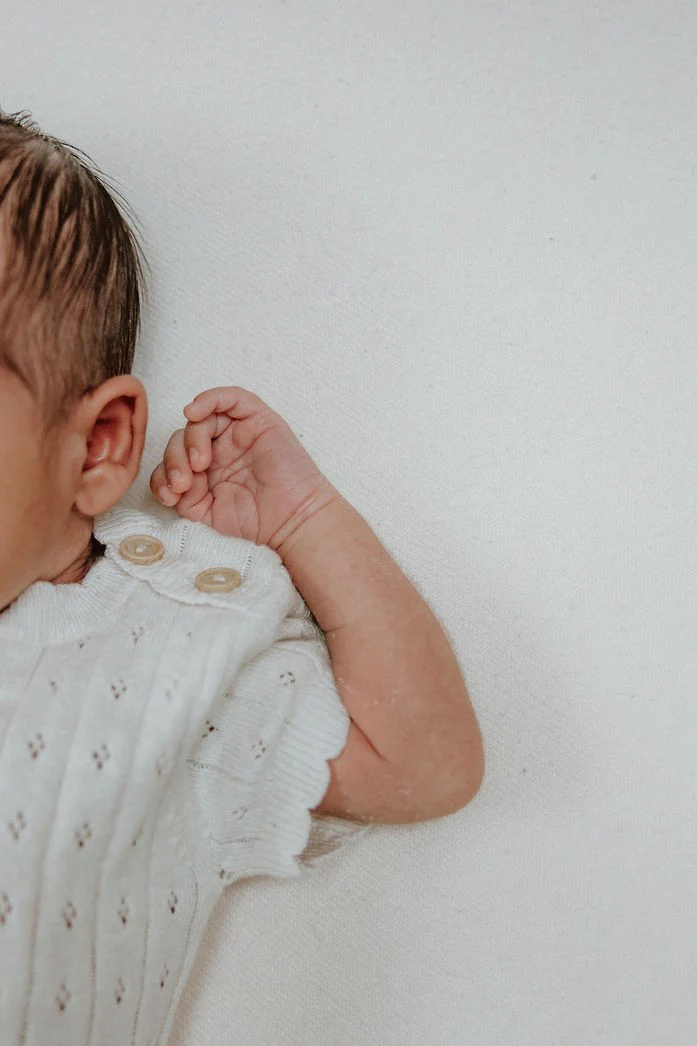 Organic Cotton Pointelle Knit Baby Bodysuit - Oat - Image 5